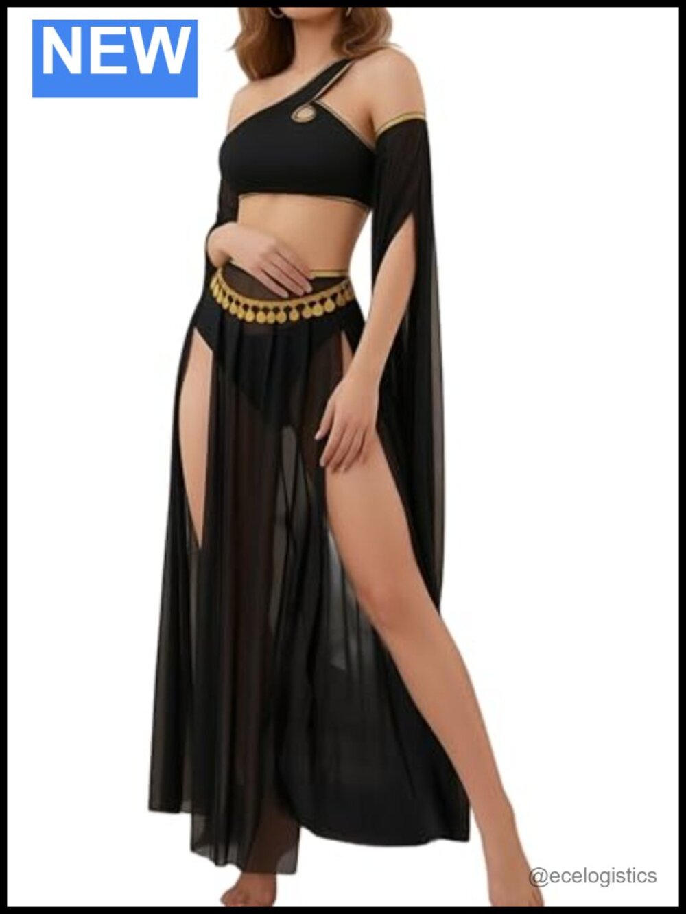 4pc Exotic Lingerie Set Mesh Sleeves Bra Panties Slit Fringe Skirt
